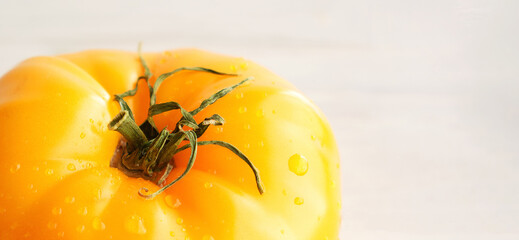 Big fresh yellow tomato with water drops. Selective focus. Close up. Copy space for text. Concept of healthy, useful and organic products. Banner