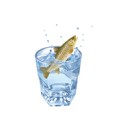 ruite  , poisson, évasion, eau, en verre, boire, clapoter, glace, isolé, liquide, abattre, blanc, froid, bleu, éclaboussure, bouillonner, transparent, clair, cool, frais, humide, propre, rafraîchissem