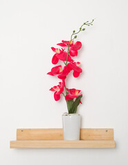 red orchid on white background