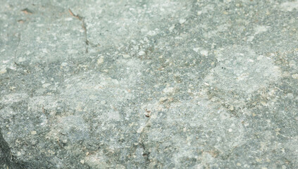 The texture of the stone light grey.