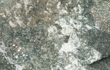 The texture of the stone light grey.