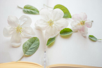 Open book with blank sheets and a blue pen. Fresh apple flowers and green leaves on paper