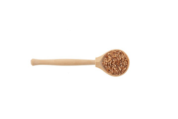 Whole spelt grain in wooden spoon on white background, top view. Design element, copy space