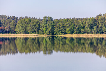 Fototapeta na wymiar las nad jeziorem