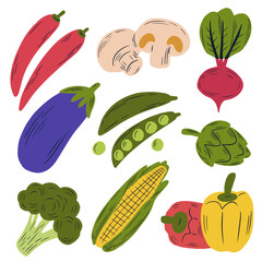Vegetable set. Cute colorful vector illustrations isolated on white
