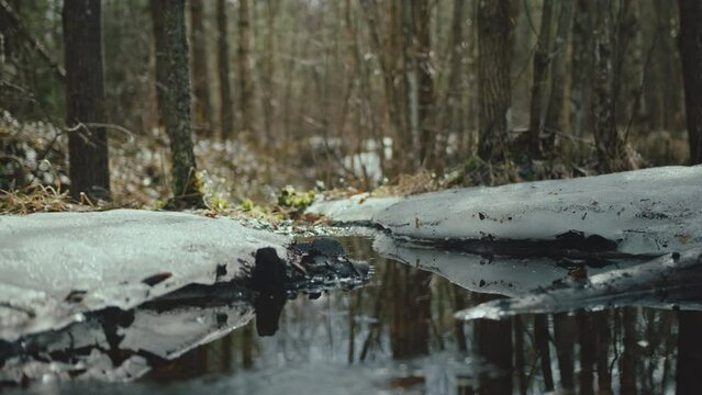 Woman With Black High Heels Boots Stepping Over Small Puddle In Forest. Camera Close To Ground