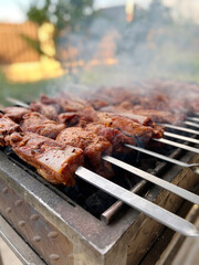 barbecue grill. coal skewer meat. fry meat outdoors. dinner