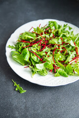 green salad leaves mix beetroot, mung bean leaves, cress lettuce fresh healthy meal food snack diet on the table copy space food background rustic keto or paleo diet veggie vegan or vegetarian food 