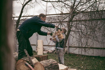 dad is chopping firewood in the yard of a village house, the boy helps dad carry firewood in the...