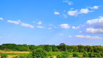Fototapeta premium Countryside nature and beautiful blue sky