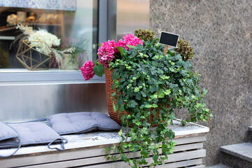 Ive plants and bloom hortensia in basket decorated on steps. Nice green patio at home. Houseplants...