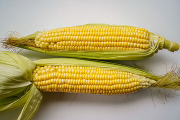 Fresh corn or maize isolated in white background.