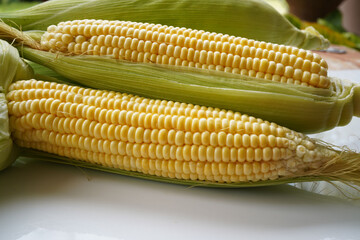 Fresh corn or maize isolated in white background.