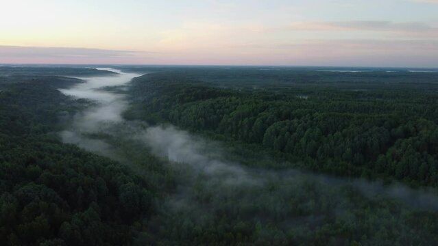 Beautiful landscape forest river shrouded in mist at sunrise. Mysterious fantasy forest. Aerial shooting top view timelapse 4k footage