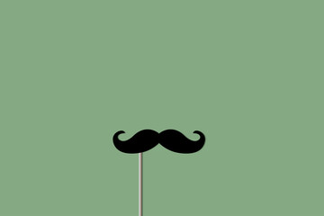false mustache on a green background. vector illustration