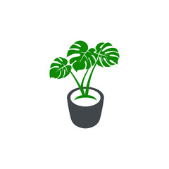 Monstera plants in pots Logo