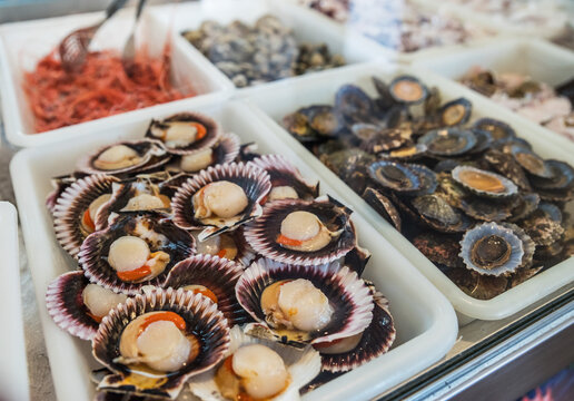 Raw "Lapas" or true limpets - traditional seafood of Tenerife and Madeira Islands.