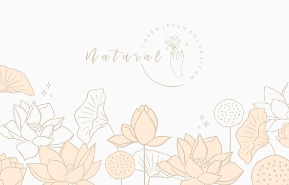 Golden lotus background. Line art design for postcard, invitation ,packaging