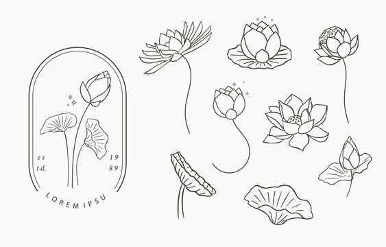 Black lotus flower outline Vector illustration for icon,sticker,printable and tattoo beauty