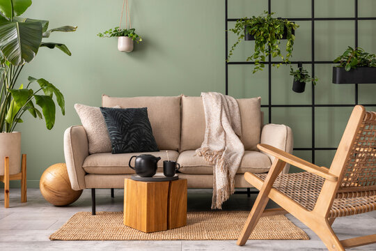 The stylish composition at living room interior with design beige sofa, wooden coffee table, plants and elegant personal accessories. Brown pillow and plaid. Rattan armchair. Home decor.
