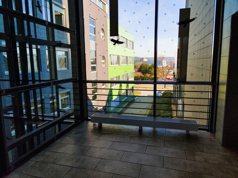 view from the window inside of a university