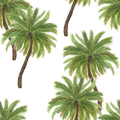 Hand drawn seamless pattern with summer palm trees on white background - 510800107