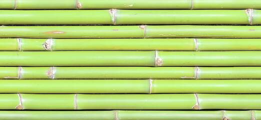 Green bamboo fence texture background, bamboo texture panorama