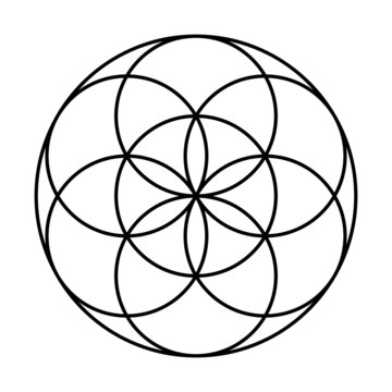 Seed of Life with protective coat. Ancient geometric figure, spiritual symbol and Sacred Geometry. Overlapping circles forming a flower like pattern, preform of the Flower of Life. Black and white.