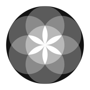 Grayscale colored Seed of Life. Ancient geometric figure, spiritual symbol and Sacred Geometry. Overlapping circles forming a flower like pattern, the preform of the Flower of Life. Isolated. Vector.
