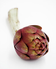Obraz premium Red artichoke isolated on white background.