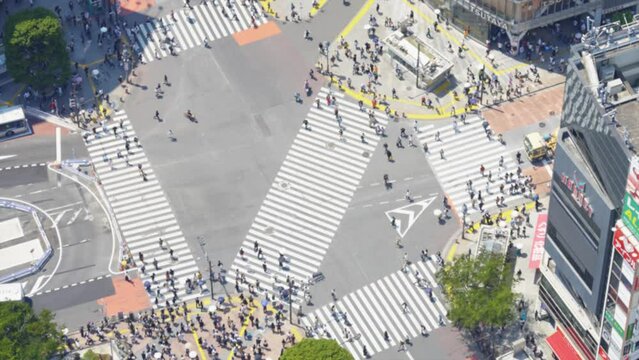 渋谷スクランブル交差点を歩く人々の映像（ぼかし有り）