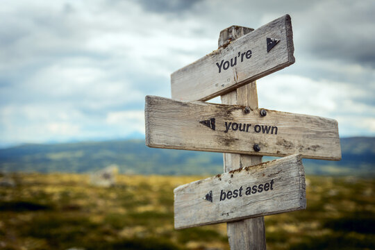 youre your own best asset text quote on wooden signpost outdoors in nature. Education, life and calmness concept.