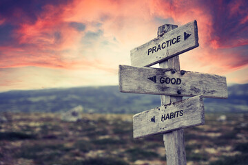 practice good habits text quote on wooden signpost outdoors in nature. Be the best version of yourself concept. - obrazy, fototapety, plakaty