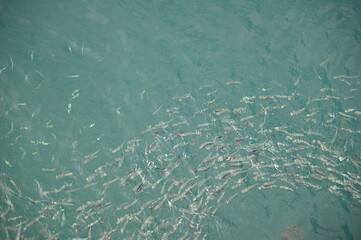 The Manukan, Mamutik and Sapi Islands of Kota Kinabalu, Sabah Malaysia