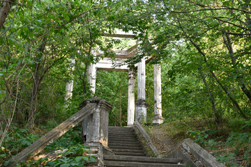 Old vintage cement round gazebo with pillars, large ruined stone stairs, lost place in green forest, dense trees in wilderness, ancient architecture, abandoned summer garden.