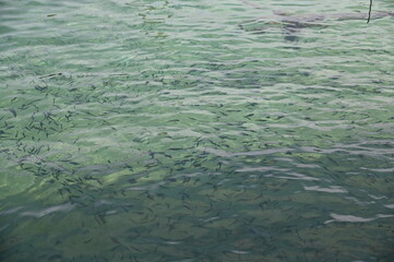 The Manukan, Mamutik and Sapi Islands of Kota Kinabalu, Sabah Malaysia