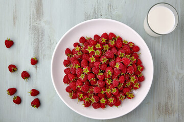 Ripe red raspberries with stalks are poured into a white ceramic plate and a glass of milk