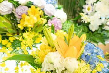 冠婚葬祭　季節のお花の壁紙