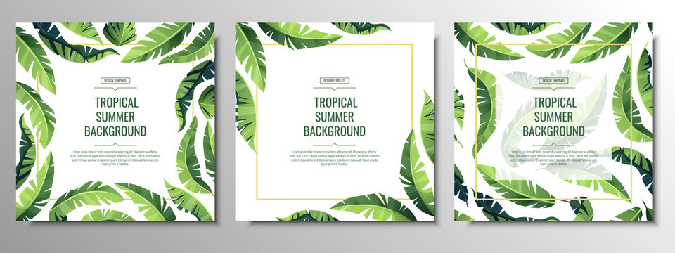 Set of tropical cards, banners, backgrounds, flyers with green palm leaves. Registration of invitations, congratulations, advertising.