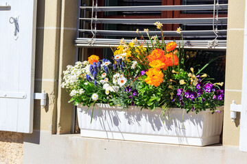 Beautiful flowers in a pot on the windowsill outside the house
