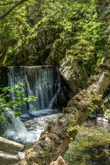 waterfall in the woods