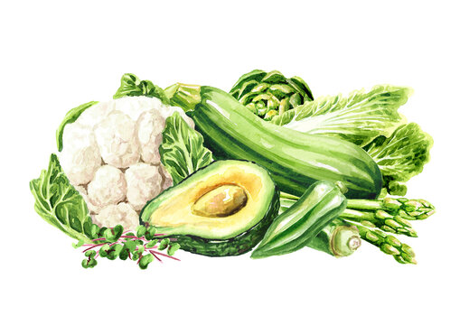 Vegan green fresh vegetables. Hand drawn watercolor illustration isolated on white background