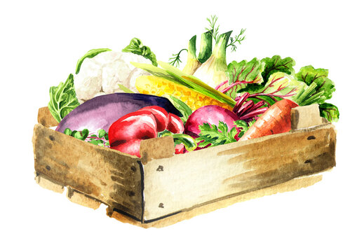 Box with vegan fresh vegetables. Hand drawn watercolor illustration isolated on white background