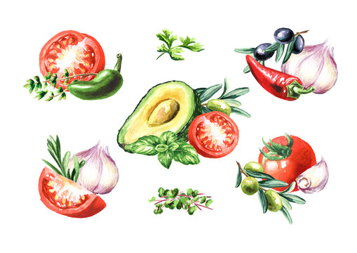 Fresh vegetables set. Hand drawn watercolor illustration, isolated on white background