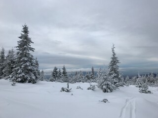 Czech mountains in winter time