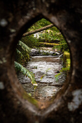 Obraz premium Terra Nostra - Framed River - Azores Termas Furnas