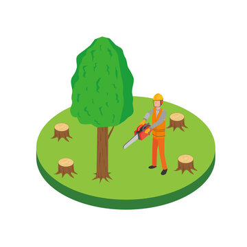 森林伐採 Images Browse 4 Stock Photos Vectors And Video Adobe Stock