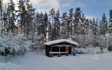 A dark one-story wooden house - a round log bathhouse in the snow among snow-covered trees on a cold clear day.