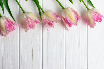 Tulips on a white wooden board. Postcard with text space. Five pink tulips