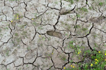 Shoe marks on cracked dried mud